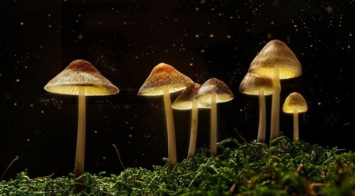 东莞市私家侦探：给爱一点时间